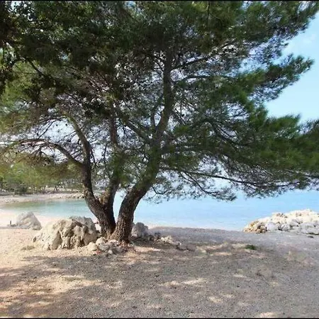 Porat Malinska
